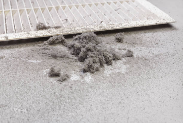 Best Residential Air Duct Cleaning  in Wickliffe, OH
