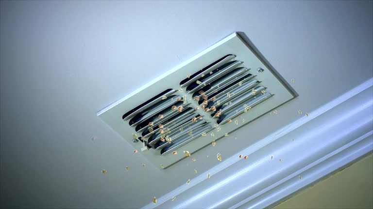 Best Ductwork Cleaning Services  in Wickliffe, OH