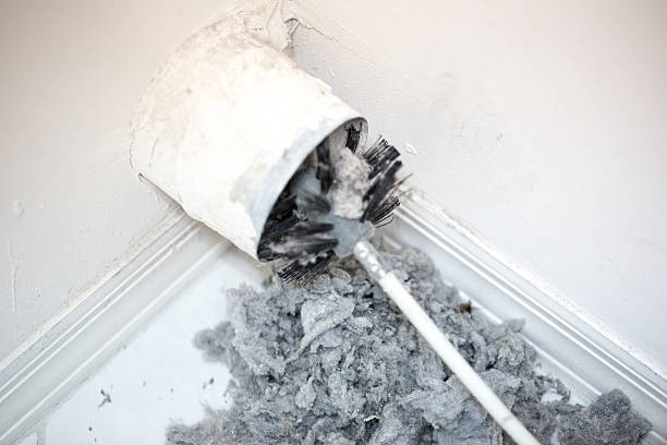 Best HVAC System Cleaning  in Wickliffe, OH
